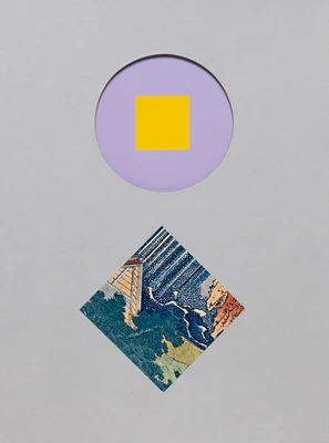 Carol Bove