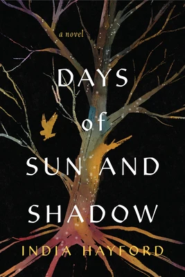 Days of Sun and Shadow