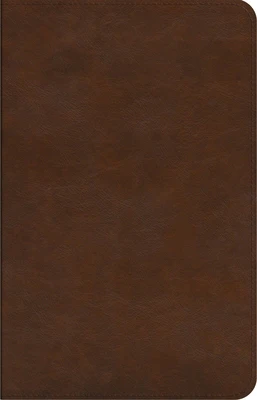 ESV Concise Study Bible(tm) (Trutone, Brown)