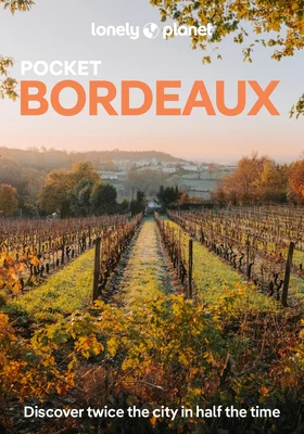 Lonely Planet Pocket Bordeaux: Discover Twice the City in Half the Time Top Sights Maps & Walking Tours Covers Place de la Bourse, Les Puces de St-Mic