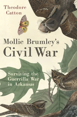 Mollie Brumley's Civil War: Surviving the Guerrilla War in Arkansas