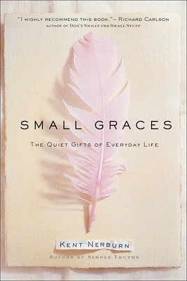 Small Graces: A Celebration of the Ordinary: Sacred Moments That Illuminate Our Lives