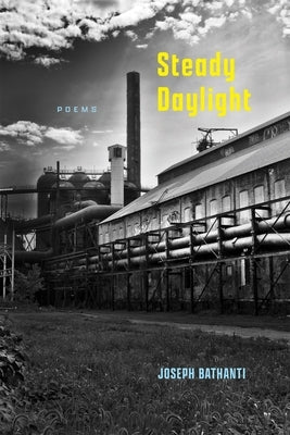 Steady Daylight: Poems